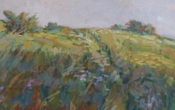 Pichlik - Wiese mit Büschen Pichlik - Wiese mit Büschen