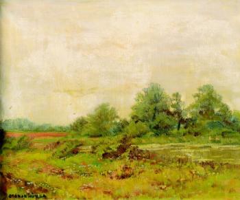 Trees by a pond Trees by a pond