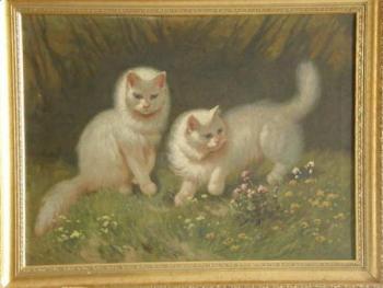 Die Kätzen Die Kätzen