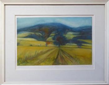 Boris Nosek - Feld, Volary Boris Nosek - Feld, Volary