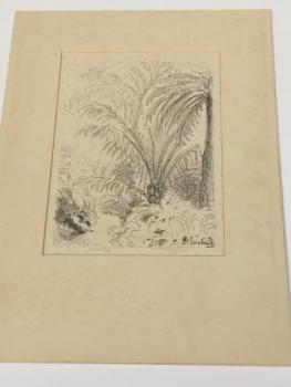 Grafik - Max Œvabinský - 1930 Grafik - Max Œvabinský - 1930