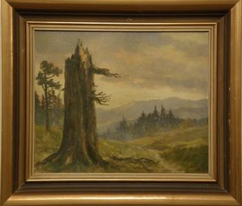 Alter Baum Alter Baum