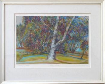 Boris Nosek - Volary, Birke Boris Nosek - Volary, Birke