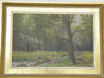 Bach im Wald - Fr. Tvrz Bach im Wald - Fr. Tvrz