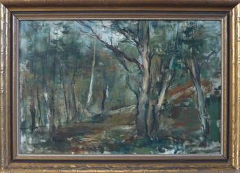 Wald Interieur Wald Interieur